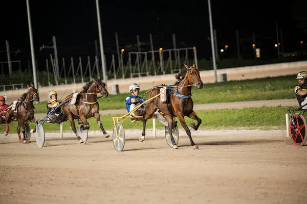 Padua, İtalya 8 Temmuz 2025, atlar ve sürücüler heyecan verici bir koşum takımı yarışında toprak pistte, parlak stadyum ışıkları altında hız ve beceri gösteriyorlar.