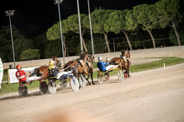 Padua, İtalya 8 Temmuz 2025. Atlar ve jokeyler, ağaçlarla çevrili, heyecan verici bir koşum takımı yarışında yarışacaklar.