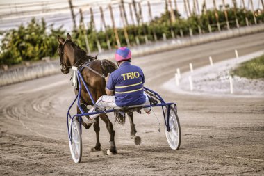 Padua, İtalya 18 Temmuz 2025, jokeyli bir at toprak pistte yarışıyor, arkadan görüldü, koşum takımı yarışı sırasında.