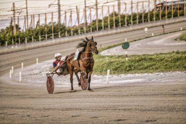 Padua, İtalya 18 Temmuz 2025, jokeyli at koşum takımı yarışında toprak pistte yarışıyor.