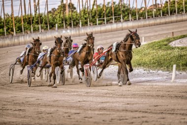 Padua, İtalya 18 Temmuz 2025, koşumlu atları süren bir grup jokey toprak pistte yarışıyor.