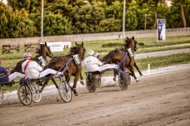 Padua, İtalya 18 Temmuz 2025, koşum takımı yarışında yarışan atlar ve jokeyler, toprak yolda yüksek hızda koşuyorlar.
