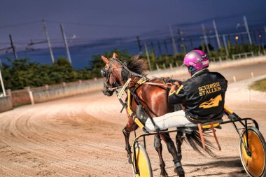 Padua, İtalya 18 Temmuz 2025. At ve jokey toprak pistte yarışıyor.