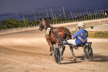 Padua, İtalya 18 Temmuz 2025, koşum takımı yarışı sırasında jokeyle birlikte toprak pistte koşan 3 numaralı at.