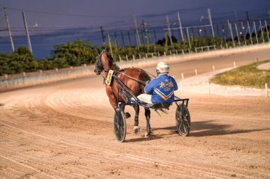 Padua, İtalya 18 Temmuz 2025, koşum takımı yarış atı ve jokey Alacakaranlık 'ta toprak pistte yarışıyor.
