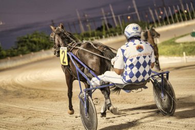 Padua, İtalya 18 Temmuz 2025, iki numaralı at jokeyle koşuyor.