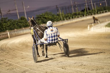 Padua, İtalya 18 Temmuz 2025, bir pistte koşum takımı yarışında at süren jokey.