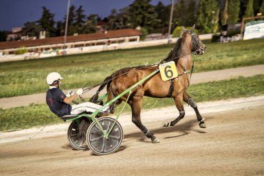 Padua, İtalya 18 Temmuz 2025, Kumlu bir yarış pistinde koşum takımı yarışında 6 numaralı jokey