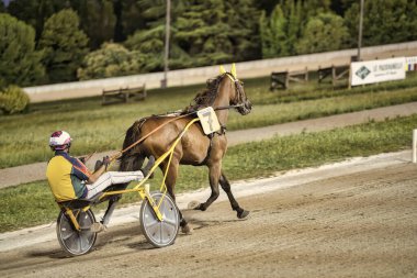Padua, İtalya. 18 Temmuz 2025. Jokey, koşum takımı yarışında at sürüyor.