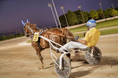 Padua, İtalya 18 Temmuz 2025, dokuz numaralı at koşum takımı yarışında yarışıyor, jokey alacakaranlıkta küskünce sürüyor.