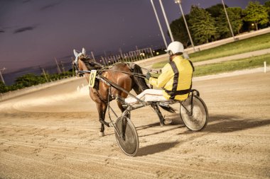 Padua, İtalya 18 Temmuz 2025, 8 numaralı at ve gece koşum takımı yarışında yarışan jokey.