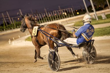 Padua, İtalya 18 Temmuz 2025, gece yarışta jokeyle koşan üç numaralı yarış atı.