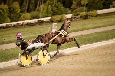 Padua, İtalya 18 Temmuz 2025, jokeyli at koşum takımı yarışında bir pistte yarışıyor