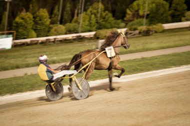 Padua, İtalya 18 Temmuz 2025, yedi numaralı at koşum takımı yarışında jokeyin somurtkan arabasıyla koşuyor.