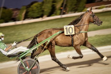 Padua, İtalya 18 Temmuz 2025, koşum takımı yarışı sırasında on numaralı at pistte koşuyor.