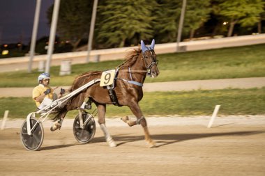 Padua, İtalya 18 Temmuz 2025, gece koşum takımı yarışında jokeyli at