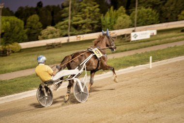 Padua, İtalya 18 Temmuz 2025, jokeyli at koşum takımı yarışında bir pistte yarışıyor