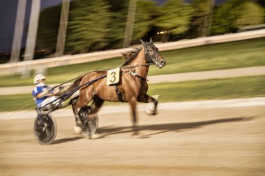 Padua, İtalya 18 Temmuz 2025, koşum takımı yarışı sırasında üç numaralı at pistte hızlı koşuyor.