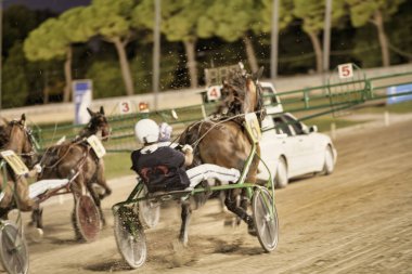 Padua, İtalya 18 Temmuz 2025, Tozlu bir pistte at yarışında yarışırken koşum takımı sürücüsü geriye yaslanıyor