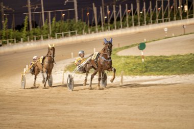 Padua, İtalya 18 Temmuz 2025, gece bir pistte koşan koşucu atları, jokeyler tarafından sürülen birincilik için yarışıyor.