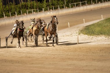 Padua, İtalya 18 Temmuz 2025, koşumlu atları süren bir grup jokey toprak bir pistte koşum takımı yarışı yapıyor.