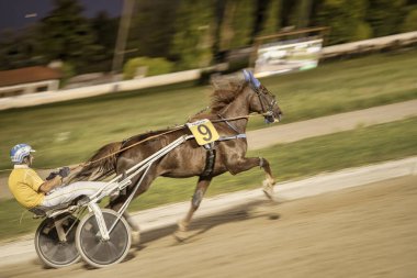 Padua, İtalya 18 Temmuz 2025, bir koşum takımı yarışında kum pistinde 9 numaralı at hızlı koşuyor.