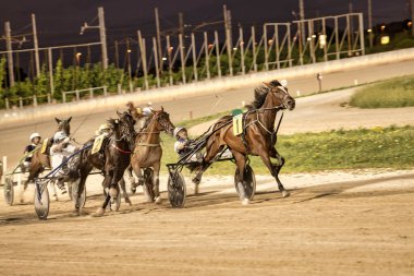 Padua, İtalya 18 Temmuz 2025, yarış atları geceleri yanan bir hipodrom pistinde yarışıyor.