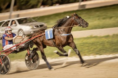 Padua, İtalya 18 Temmuz 2025, bir numaralı at koşum takımı yarışında jokeyle hızlı koşuyor.
