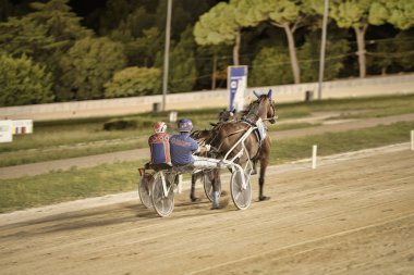 Padua, İtalya 18 Temmuz 2025, at jokeylerle somurtuyor geceleri toprak yolda yarışıyor.