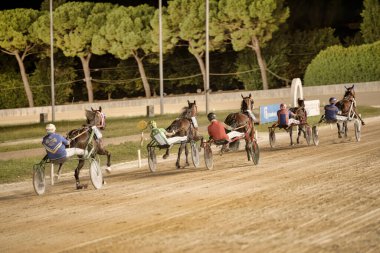 Padua, İtalya 18 Temmuz 2025, yarış atları gece yarıştı.