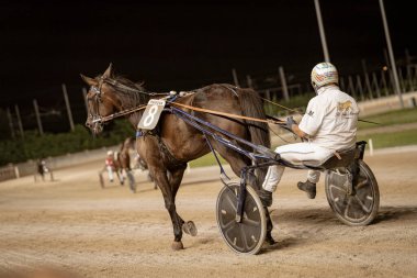 Padua, İtalya 18 Temmuz 2025, Bay Horse gece kumlu bir yarış pistinde koşum takımı yarışında bir jokeyin kullandığı iki tekerlekli somurtmayı çekiyor.