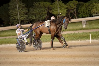 Padua, İtalya 18 Temmuz 2025, 6 numaralı at ve koşumlu jokey geceleri kumlu pistte yarışıyor.