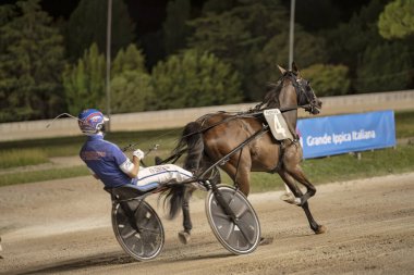 Padua, İtalya 18 Temmuz 2025, gece koşum takımı yarışı sırasında jokeyli bir at toprak pistte yarışıyor