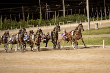 Padua, İtalya 18 Temmuz 2025, gece yarışta koşan koşucu atları zafer için yarışıyor