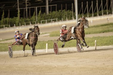 Padua, İtalya 18 Temmuz 2025, koşum takımı at yarışı yarışında yarışan iki jokey