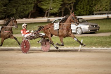 Padua, İtalya. 18 Temmuz 2025. Atlar koşum takımı yarışında küskün ve jokeylerle yarışıyor.