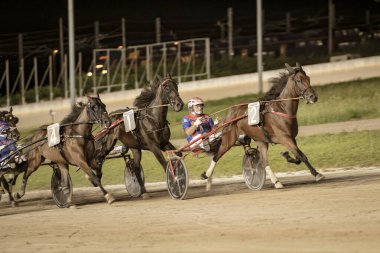 Padua, İtalya 18 Temmuz 2025. Atlar jokeylerle somurtuyor. Koşum takımı yarışına giriyorlar.