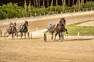 Padua, İtalya. 18 Temmuz 2025. Atlar jokeylerle somurtuyor. Koşum takımı yarışında.