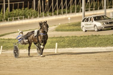 Padua, İtalya 18 Temmuz 2025, koşum takımı yarışında yarışan at ve sürücü