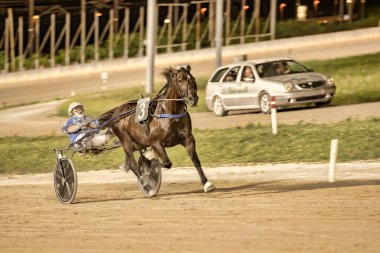Padua, İtalya 18 Temmuz 2025, gece toprak pistte koşum takımı yarışında yarışan bir at.