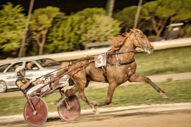 Padua, İtalya 18 Temmuz 2025, 3 numaralı at ve gece koşum takımı yarışlarında yarışan jokey