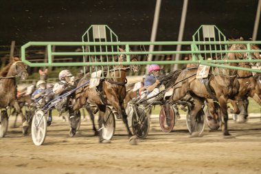 Padua, İtalya 18 Temmuz 2025, gece yarışta koşan koşucu atları zafer için yarışıyor