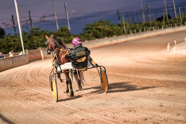 Padua, İtalya. 18 Temmuz 2025. Koşum koşusu yarışması sırasında at süren jokey.
