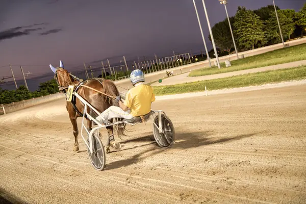 Padua, İtalya 18 Temmuz 2025, at ve sürücü alacakaranlıkta kumlu pistte yarışıyor.