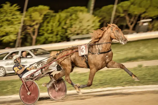 Padua, İtalya 18 Temmuz 2025, 3 numaralı at ve gece koşum takımı yarışlarında yarışan jokey