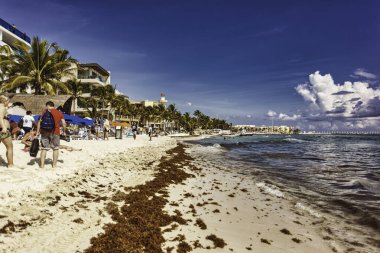 Playa del carmen, Meksika 20 Ağustos 2025 Playa del carmen, Meksika 'da deniz yosunlarıyla kaplı bir plajda yürüyen turistler, Riviera Maya' da tatillerinin tadını çıkarıyorlar.