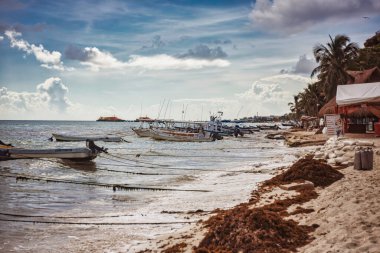 Bayahibe, Dominik Cumhuriyeti 19 Ağustos 2025: Bayahibe 'de güneşli cadde boyunca uzanan renkli geleneksel evler, Dominik Cumhuriyeti' nin Karayip kıyısındaki büyüleyici balıkçı köyü.