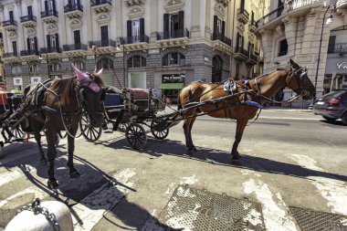 Palermo, İtalya. 20 Ağustos 2025. İki at geleneksel bir araba kullanıyor. Palermo 'da turistleri bekliyor.
