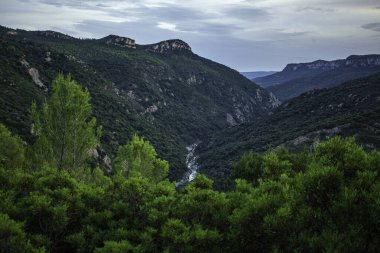 Sardunya, İtalya 'da sardalya kanyonu boyunca akan dolambaçlı bir nehri çevreleyen yemyeşil bitki örtüsü bulutlu bir gökyüzünün altında pitoresk bir manzara yaratır.