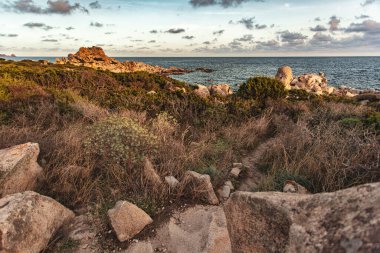 Akdeniz bitki örtüsü ve granit kayalar sardunya, İtalya 'daki turkuaz deniz kıyısına giden yolu çevrelediler.
